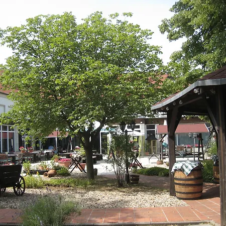 Otel Schoene Aussicht