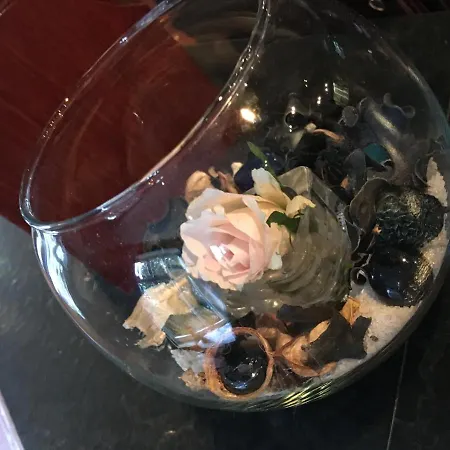 Otel Schoene Aussicht 3*