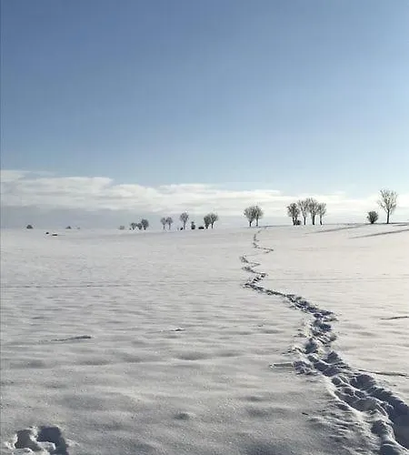 Hotell Schoene Aussicht Weißenfels