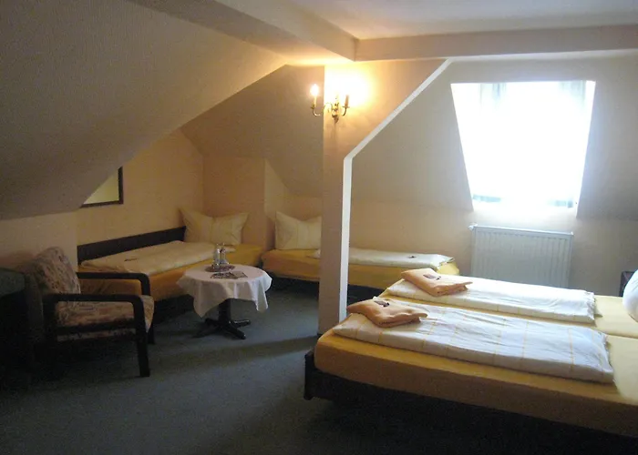 斯科恩奥西赫特酒店 3* Weißenfels