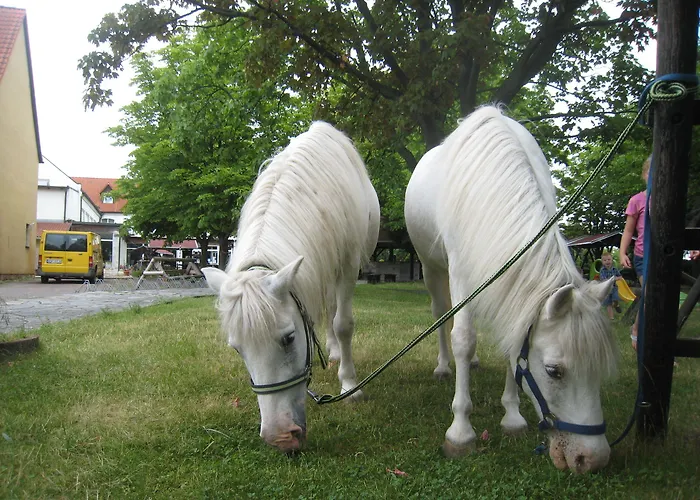 Schöne Aussicht Hotel 3*