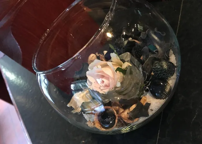 Hotel Schöne Aussicht 3*